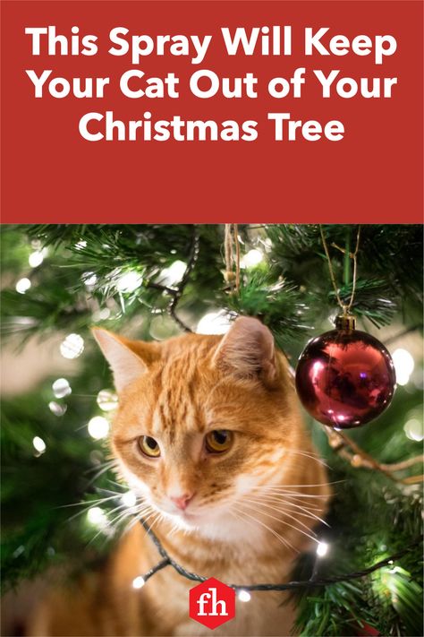 Cat Proof Christmas Tree, Cat Deterrent Spray, Christmas Tree Spray, Cat Enrichment, Cat Deterrent, Fake Christmas Trees, Cat Repellant, Cat Proofing, Cat Christmas Tree