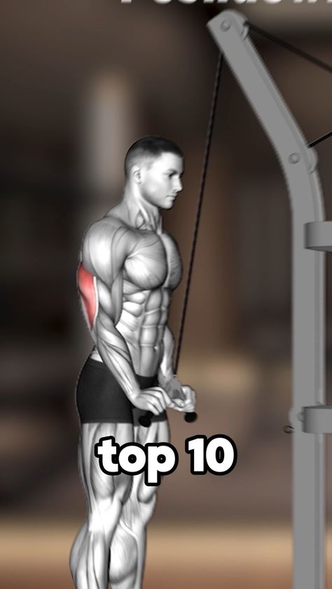 Top 10 Triceps Exercises Using Cable 🔥 | Instagram Cable Tricep Workout, Triceps Exercises, Bicep And Tricep Workout, Cable Workout, Workout Tracker, Biceps And Triceps, Triceps Workout, Fitness Tracker, Gym Workout