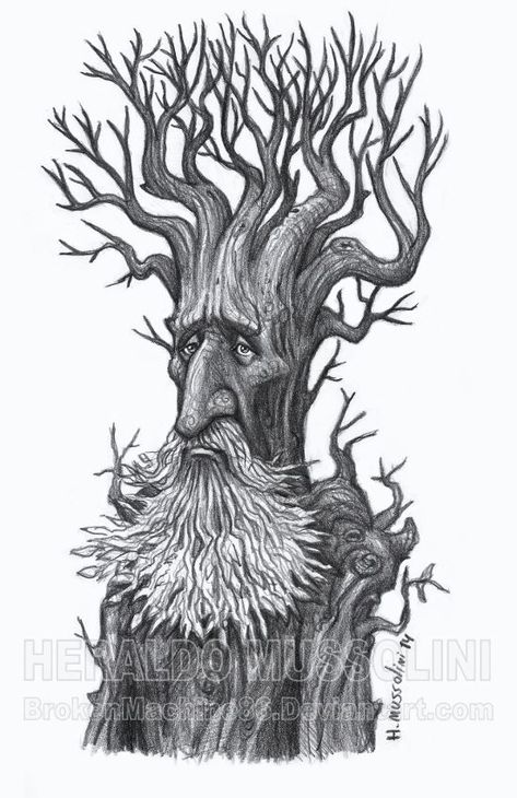 Fantasy Tree Drawing, A Tree Drawing, Owl Tattoo Drawings, Tree Drawings, Mother Earth Art, Drawing Tree, Tree Drawings Pencil, Fantasy Tree, Fairy Drawings