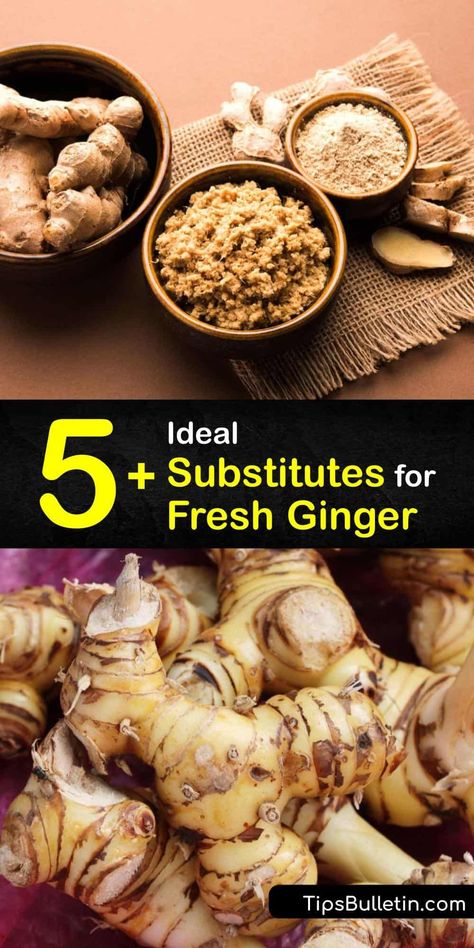 Discover the best fresh ginger substitution. If a recipe calls for a tablespoon of fresh ginger root, use a quarter-teaspoon of ground ginger, or three tablespoons of candied ginger. For a different flavor, substitute allspice, cardamom, or turmeric. #substitute #fresh #ginger Ginger Substitute, To Remove Facial Hair, Alpha Gal, Homemaking Skills, Healthy Tea, Kitchen Gardens, Leftover Dough, Blackstrap Molasses, Turmeric Recipes