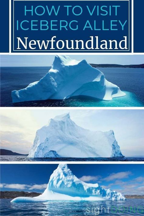 Have you heard of iceberg alley? Check out these 6 tips on how to see icebergs in Newfoundland to improve your odds of sightings (and enjoy your trip!). New Foundland Canada, Newfoundland And Labrador Travel, Newfoundland Icebergs, Twillingate Newfoundland, Newfoundland Map, East Coast Canada, Newfoundland Travel, Enjoy Your Trip, Newfoundland Canada