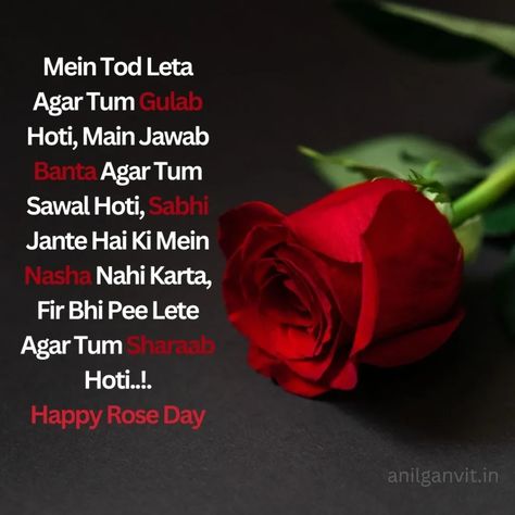 Rose day Shayari in English -Friends, by the way Rose day can be celebrated by anyone. But these are some special days for the lovers. We also call rose day as rose day, on this day lovers wish their girlfriend or boyfriend by giving them rose flowers. It depends on the color of the rose flower that to whom we have to give these flowers. Happy Rose Day My Hubby, Rose Day Thought, Rose Day Shayari For Boyfriend, Rose Day Poetry, Rose Day Wishes For Girlfriend, Rose Day Shayari Love, Rose Day Messages For Him, Rose Day Quotes For Girlfriend, Rose Day Shayari