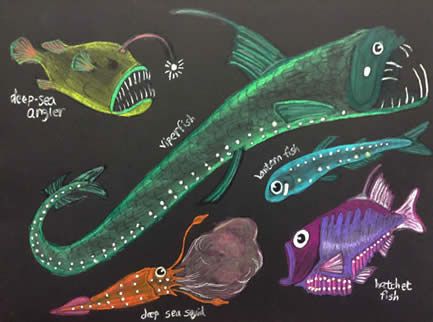 Glow-in-the-dark deep sea fish (art project) Deep Sea Creatures Art, Fish Art Project, Angler Fish Art, Glowing Fish, Ecosystems Projects, Sea Creatures Drawing, Deep Sea Life, Deep Sea Fish, Fish Craft