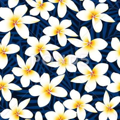 Tropical white frangipani plumeria flower seamless pattern Stock Illustration #AD ,#frangipani#plumeria#Tropical#white White Frangipani, Flower Seamless Pattern, Flower Pot Design, Plumeria Flowers, Perennial Herbs, Plant Supplies, Big Plants, Blue Bouquet, Sympathy Flowers