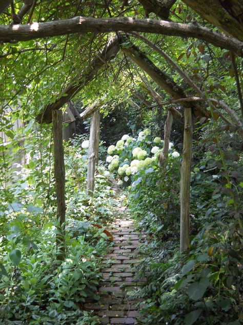 Chaotic Garden, Decatur Georgia, Flower Garden Design, Garden Path, Magical Garden, Woodland Garden, Garden Pathway, Plants And Flowers, Ideas Garden