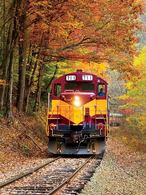 Bryson City, North Carolina Bryson City North Carolina, Dark Mountains, Bryson City, Old Trains, Train Pictures, Train Journey, Blue Ridge Parkway, Smoky Mountain National Park, Train Tracks