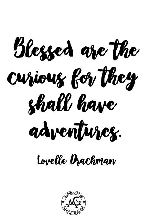 Get Curious Quote, Curious Quotes, Blessed Are The Curious, Inspirational Quotes For Kids, Adventure Quotes, Motivation Quotes, Wall Collage, Quote Of The Day, Motivational Quotes