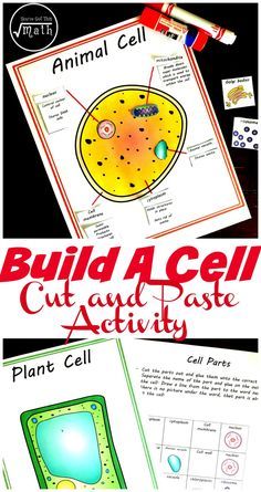 This free animal and plant cell worksheet, has children coloring in cell parts, cut and pasting them in the right cell, and finally comparing the cells. Perfect for Classical Conversations Science Cycle 1 Week 3. Cell Worksheets, Classical Conversations Foundations, Cell Diagram, Science Cells, Cells Worksheet, Cell Parts, Plant And Animal Cells, Plant Cells, Cells Project