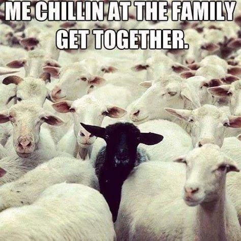 Scapegoat Art, Black Sheep Quotes, Quotes About Black, Sheep Meme, St Anthony Prayer, Introverted Thinking, Black Sheep Of The Family, Joker Pics, Black Quotes