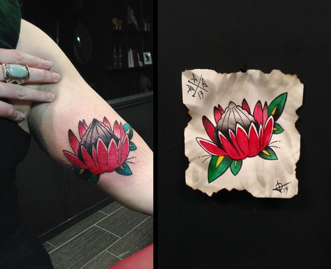 American Traditional Protea flower found in South Africa tattoo by Adam at Black Apple Studios in Sudbury, Ontario Canada - www.blackapplestudios.com South Africa Tattoo, Africa Tattoo, Sudbury Ontario, Africa Tattoos, Protea Flower, Sleeve Ideas, Black Apple, Sleeves Ideas, American Traditional