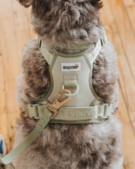 No Pull Dog Harness, Dog Accesories, Puppy Harness, Puppy Accessories, Living My Best Life, Dog Essentials, Dog List, My Best Life, Dog Gear