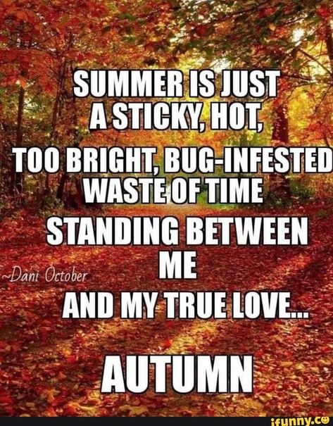 Hate Summer, Autumn Magic, Autumn Quotes, Autumn Scenery, Fabulous Fall, Happy Fall Y'all, Autumn Beauty, Fall Pictures, Fall Favorites