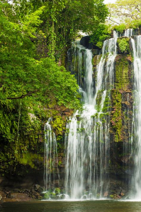 Llanos de Cortez Waterfall, Costa Rica #costarica #tropical #waterfall Waterfall Costa Rica, Tropical Waterfall, Visit Costa Rica, Animal Species, Beautiful Photography, Mother Earth, Costa Rica, Lush, Trees