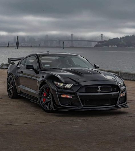 Black Mustang Gt, Shelby Cobra Gt500, Mustang Shelby Cobra, Black Mustang, Shelby Car, Mustang Gt500, Mclaren Cars, Aesthetic Cool, Ford Mustang Shelby Gt500