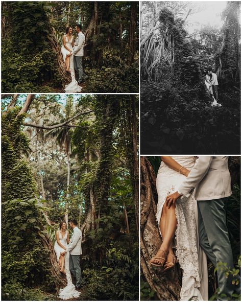 Sunrise Shack, Oahu Elopement, Surf Competition, North Shore Oahu, Surfing Pictures, Hawaii Elopement, Hawaii Photographer, Rocky Shore, Banyan Tree