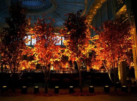 12 Stylish Ways to Divide Large Event Spaces | BizBash Ethereal Theme, Chicago Attractions, National Building Museum, Natural Curtains, Laurel Branch, Fall Trees, Event Room, Autumn In New York, Diy Event