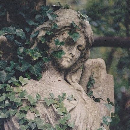 Highgate Cemetery London, Once Upon A Broken, Highgate Cemetery, Heart Poster, Cemetery, Ivy, Vines, We Heart It, Lost