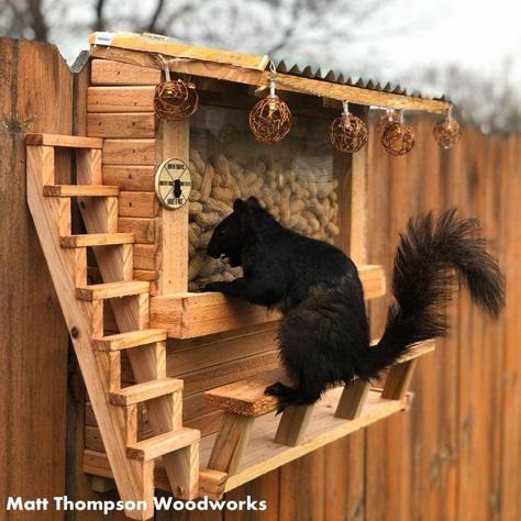 Squrriel House, Squarl Feeder, Diy Squirrel Cage Ideas, Squirrel Nut Bar, Squrriel House Ideas, Homemade Squirrel Feeder, Squirrel House Ideas, Squirrel Playground Ideas, Squirrel Obstacle Course Diy