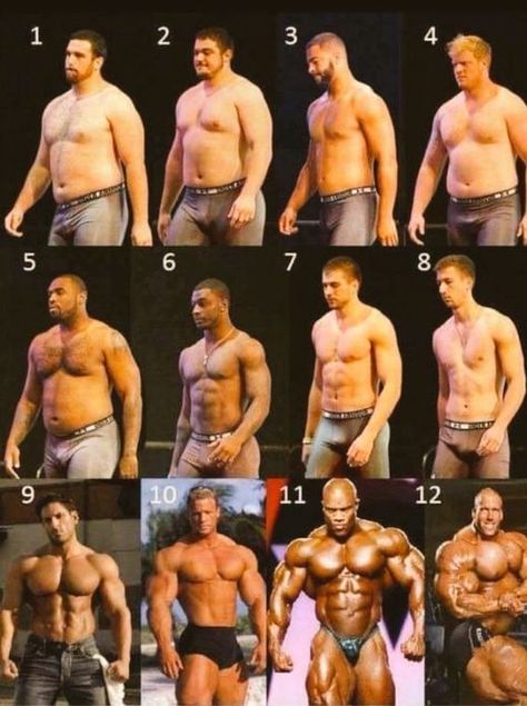 Which male body do you think is the ideal one? Mens Body Types, Abgedrehter Humor, Slim And Sassy, Body Type Drawing, Body Fat Percentage, Scruffy Men, Male Torso, 남자 몸, Body Anatomy