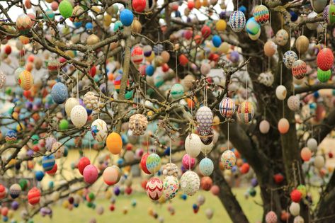 An Easter Egg Tree in Saalfeld, Germany Tree Meanings, Easter Egg Tree, Egg Tree, Easter Specials, Easter Egg Designs, About Easter, Kids Dress Up, Easter Traditions, German Christmas