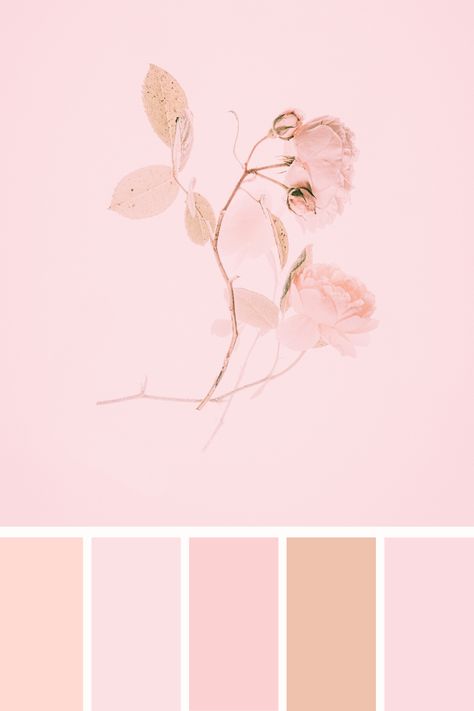 This "aesthetic pink color palette" is soft and delicate, featuring pale pink roses and muted leaves against a gentle blush pink background. The overall tone is light and airy, creating a minimalist and romantic visual effect, perfect for conveying subtle elegance and grace. Aesthetic Pink Color Palette, Color Scheme Generator, Pale Pink Roses, Baby Pink Aesthetic, Different Shades Of Pink, Color Palette Pink, Color Palette Generator, Color Harmony, Aesthetic Colors