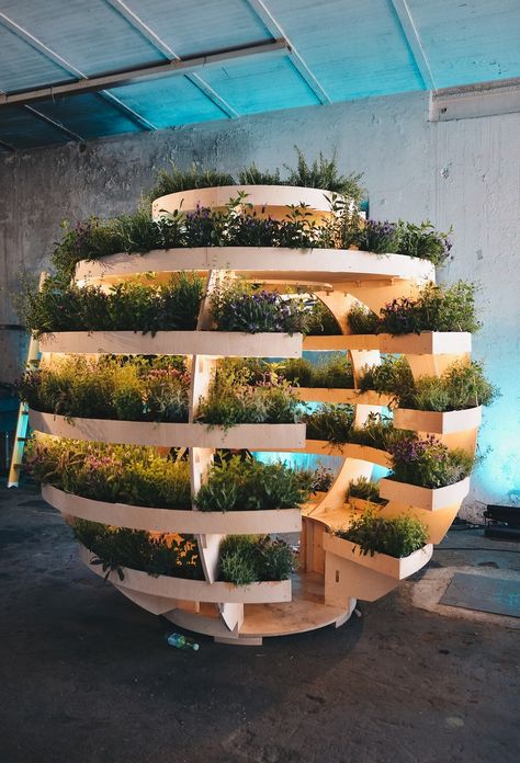 Gold Event Design, Plant Installation Design, Urban Green Space Design, Greenhouse Concept Architecture, Plants Art Installation, Plant Exhibition, Futuristic Garden, Easy Garden Ideas Landscaping, Futuristic Decor