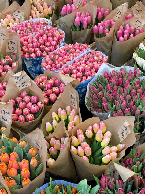 #aesthetic #flowers #colors #copenhagen Spring In Copenhagen, Copenhagen Aesthetic Summer, Copenhagen Denmark Aesthetic, Summer In Copenhagen, Flower Market Aesthetic, Copenhagen Summer, Copenhagen Aesthetic, April Aesthetic, Copenhagen Spring