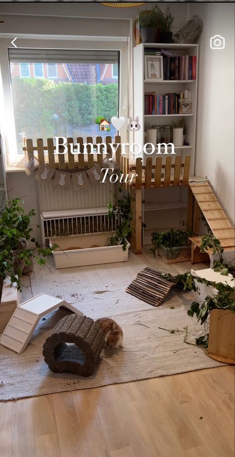 Bunnies Home Ideas, Bunny Playpen Setup, Diy Bunny Pen Indoor, Rabbit Climbing Ideas, Bunny Room Ideas Bedrooms, Aesthetic Rabbit Enclosure, Rabbit Room Setup, Bunny Setup Indoor, Rabbit Habitat Indoor