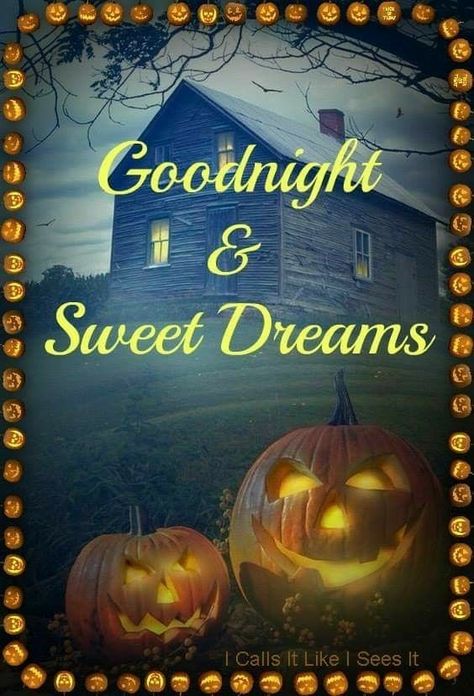 Halloween Goodnight Halloween, Good Nite, Good Night Quotes Images, Laugh Till You Cry, Cute Good Morning Quotes, Holiday Day, Good Morning Funny, Night Pictures, Good Night Wishes