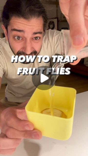 Armen Adamjan on Instagram: "How to trap fruit flies with just a few things from the kitchen! 😲🤩
.
.
.
.
#lifehacks #hacks #tipsandtricks #diy #howto #plants #planttips" How To Catch Fruit Flies In The House, Nat Trap Fruit Flies, Diy Fly Trap Indoor, Fruit Flies Get Rid Of, How To Get Rid Of Fruit Flies In House, Fly Trap Homemade, Best Fruit Fly Trap, Catch Fruit Flies, Fruit Fly Killer