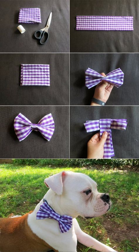 Dog Hacks Diy, Dog Bow Tie Pattern, Pet Memorial Diy, Dog Wedding Attire, Dogs Diy Projects, Diy Dog Collar, Bowtie Pattern, Dog Clothes Diy, Dog Collar Bows