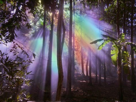 Soothing Images, Beams Of Light, Ethereal Art, Blender 3d, Big Love, Nature Aesthetic, In The Forest, Infj, Pretty Pictures