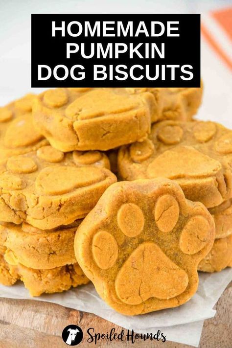 Dog Treat Pumpkin Peanut Butter, Dog Cookies With Pumpkin, Simple Pumpkin Dog Treats, Pumpkin Cinnamon Dog Treats, Dog Treats With Turmeric, Easy Dog Cookies Recipe, Homemade Dog Cookies Recipe, Doggie Biscuits Recipes, Easy Doggie Treats