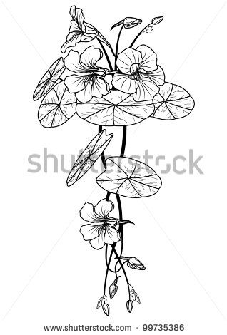 Nasturtium Tattoo Black And White, Art Deco Drawing, Art Nouveau Tattoo, Vintage Tattoo Design, Nouveau Tattoo, Kunst Tattoos, Art Nouveau Floral, Trendy Flowers, Art Nouveau Design