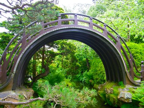 There's A Magical Japanese Tea Garden In San Francisco San Antonio Japanese Tea Garden, San Francisco Tourist Attractions, Japanese Tea Garden San Francisco, Japan Town, Golden Gate Park San Francisco, Tea Gardens, San Francisco Photos, Japanese Tea Garden, Golden Gate Park