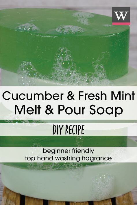 Slow down and smell the mints, as Cucumber & Fresh Mint Melt & Pour Soap extracts the greenest scents of the earth. Our soap adds a spritz of Cucumber to a Fresh Mint herbal scent, all contained in a clear, green soap bar. This herbal sense is one of four fragrance categories that consumers say remind them of great, hand washing soap. Cucumber Soap Recipe, Glycerin Melt And Pour Soap Recipes, Melt Pour Soap Recipes, Melt And Pour Soap Recipes, Cucumber Soap, Mint Soap, Mp Soap, Easy Soap Recipes, Diy Soap Recipe