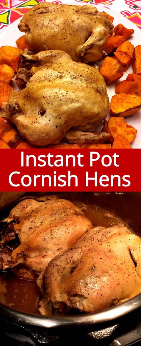 Easy Recipes For Dinner, Cornish Hen Recipe, Beef Recipes For Dinner Easy, Dinner Recipes With Ground Beef, Cornish Hen, Recipes For Dinner Easy, Recipes With Ground Beef, Cornish Hens, Pot Recipes Easy