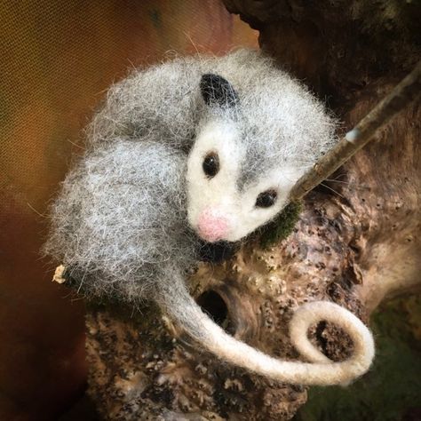 Australian Possum, Felt Creatures, Funny Creatures, Felting Animals, Felted Toys, Felting Art, Felting Ideas, Felted Wool Crafts, Wool Felting