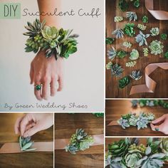 Diy Succulent Corsage, Diy Succulent Wrist Corsage, Plant Corsage, Succulent Boutonniere And Corsage, Prom Corsage Diy, Succulent Corsage, Bouquet Succulent, Diy Prom, Diy Corsage