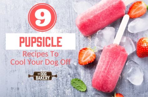 Baked Dog Treats, Low Sugar Yogurt, Bacon Ice Cream, Dog Cake Recipes, Chicken Cake, Chicken Jerky, Dog Ice Cream, Coconut Benefits, Doggie Treats