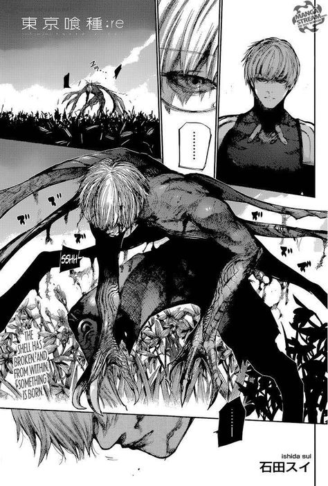 Kakuja Tokyo Ghoul, Read Tokyo Ghoul, Manga Tokyo Ghoul, Tokyo Ghoul Manga, Tokyo Ghoul Kaneki, Tokyo Ghoul Anime, Creepy Art, Manga Pages, Anime Wall Art