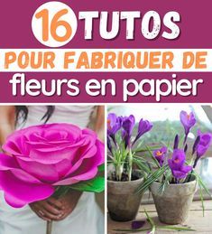 16 Tutos faciles pour fabriquer de magnifiques fleurs en papier Deco Table, Mousse, Origami, Cricut, Plants, Flowers