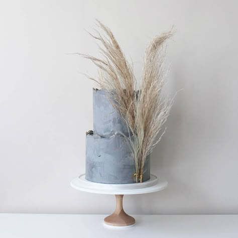 Soul Cake, Boho Cake, Modern Cakes, Naked Cakes, Concrete Texture, Modern Wedding Cake, Wedding Cake Inspiration, Cake Decorating Supplies, Wedding Cake Designs