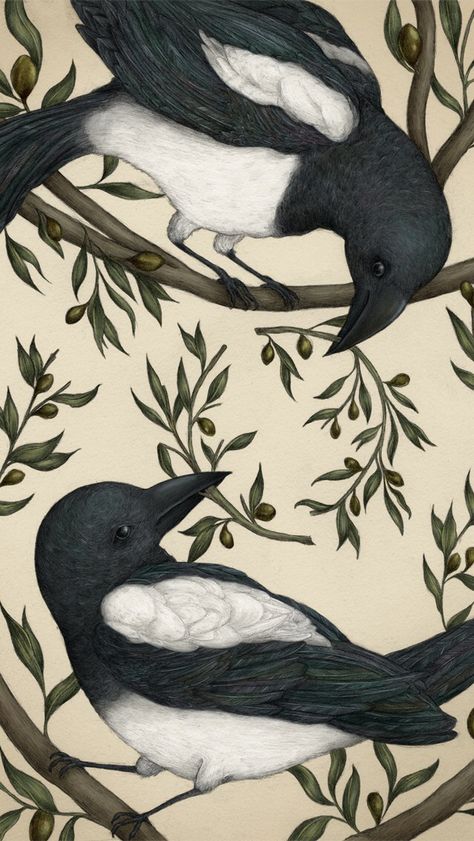 Poolga.com Magpie Art, Amazing Artists, Fairytale Fantasy, Good Omens, Beatrix Potter, Freelance Illustrator, Magpie, Art Plastique, Black Bird