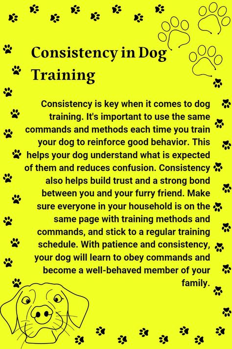 Dog Training Barking, Dog Behavior Training, Dog Remedies, Mental Exercises, Easiest Dogs To Train, Basic Dog Training, Dog Potty Training, Dog Training Advice, Dog Pee