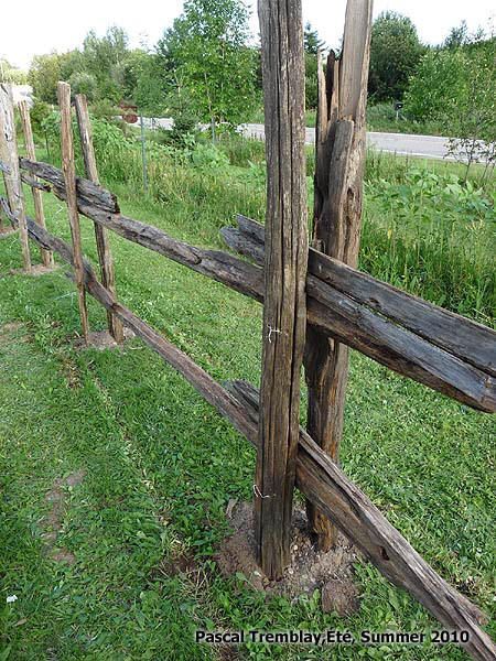 Hometalk :: Rustic Split Rail Fence - How to Build a Cedar Rail Fence? Cedar Rail Fence Ideas, Cedar Split Rail Fence, Cedar Fence Posts, Log Fence, Rustic Garden Fence, Fence Planning, Wood Gates, Fence Wood, Split Rail Fence