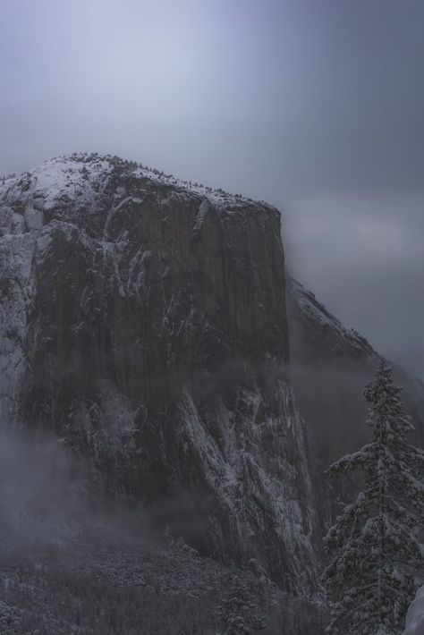 American Background, Snow Images, Winter Images, Frozen Lake, Yosemite Valley, Ansel Adams, Photo Tree, Yosemite National, Yosemite National Park