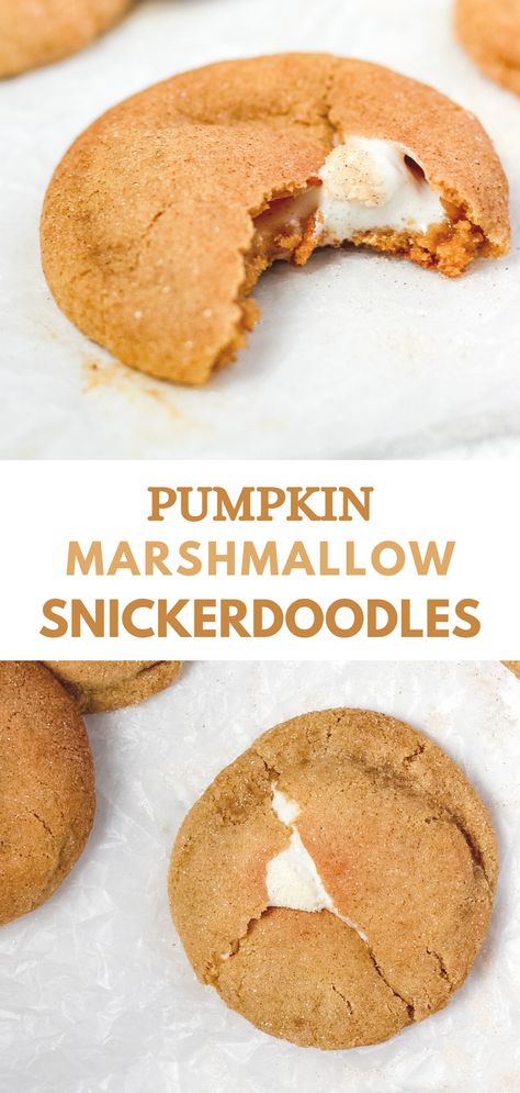 These pumpkin snickerdoodles are perfectly soft and chewy, with a gooey marshmallow filling. These cookies are easy to make and a delicious fall treat! Snickerdoodle Marshmallow Cookies, Pumpkin Marshmallow Dessert, Pumpkin And Marshmallow Recipes, Pumpkin Marshmallow Recipes, Marshmallow Filled Cookies, Marshmallow Snickerdoodle, Pumpkin Marshmallow Cookies, Marshmallow Pumpkin Pie, Fun Fall Desserts