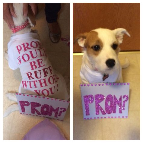 THIS IS SO CUTE!!!! OMG Dog Dance Proposal, Dog Promposal Ideas, Animal Hoco Proposal, Puppy Promposal, Girl Promposal To Boy, Creative Proposals, Best Proposals, Dance Proposal, Teen Dating