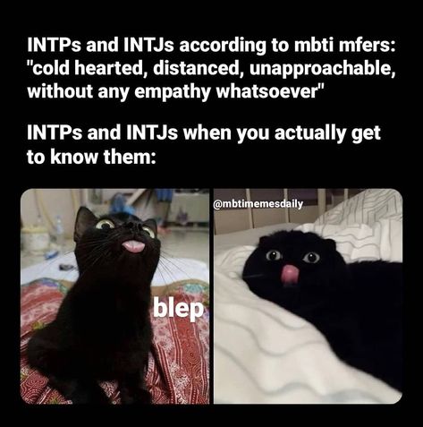 Intj Problems, Romantic Couple Quotes, Nerdy Humor, Intp Personality Type, Enfp Personality, Intj T, Intj And Infj, Intp T, Mbti Memes